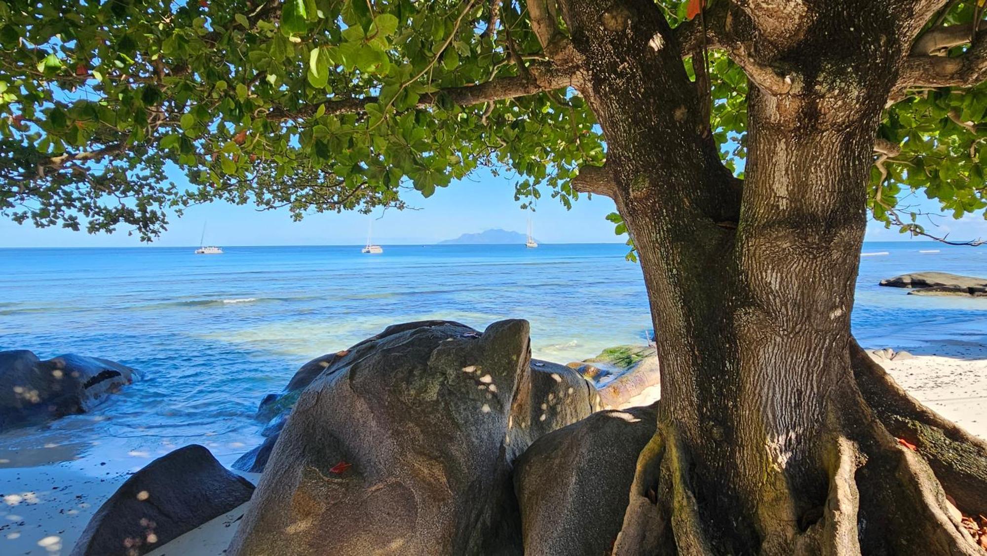 Harmony Self-Catering Apartments Beau Vallon  Luaran gambar