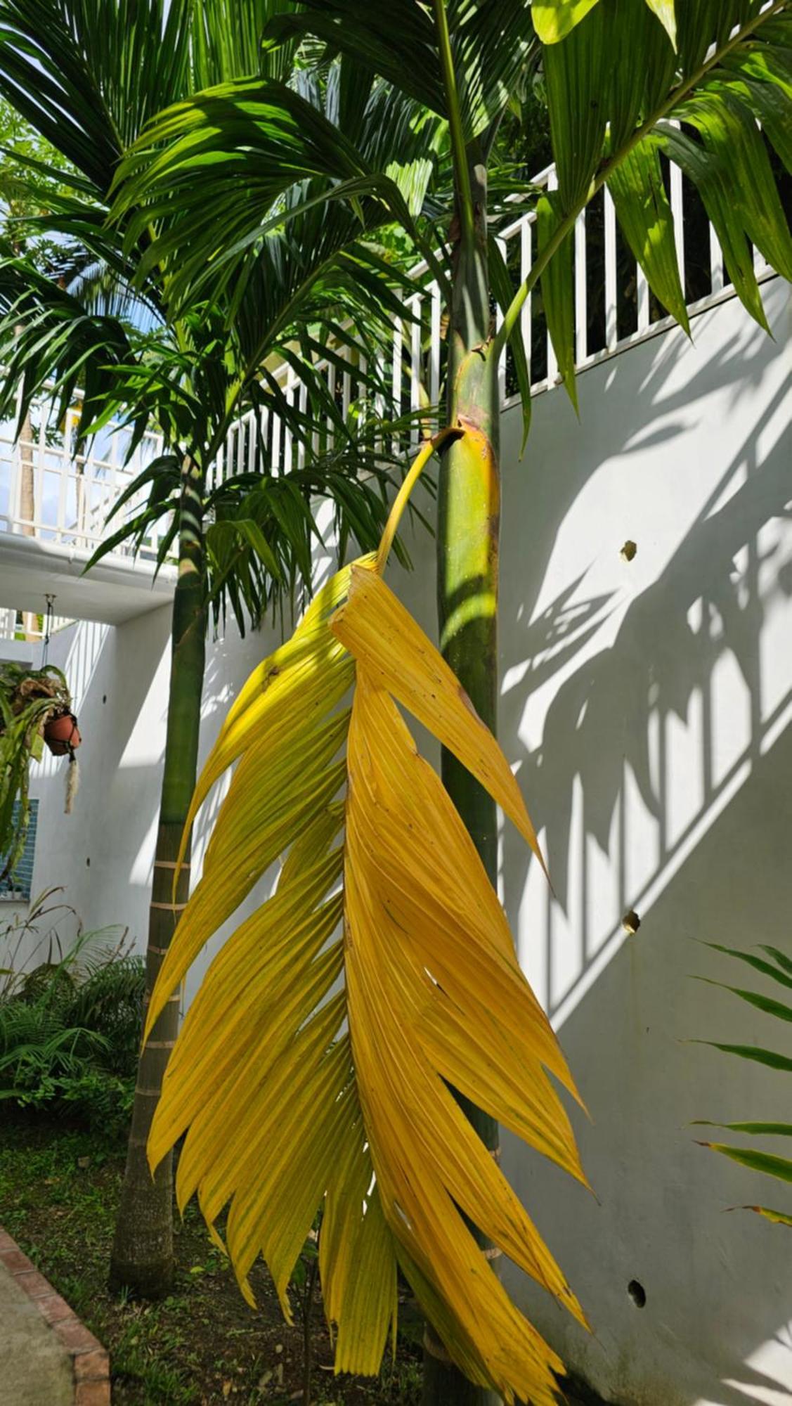 Harmony Self-Catering Apartments Beau Vallon  Luaran gambar